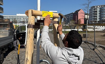 Anbringung Stadtbaumplakette